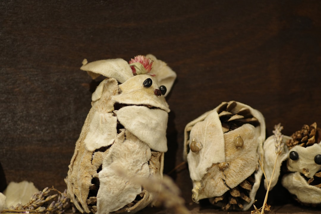 Boneka Bobby Kertanegara: Pesona Tradisional dalam Sentuhan Modern